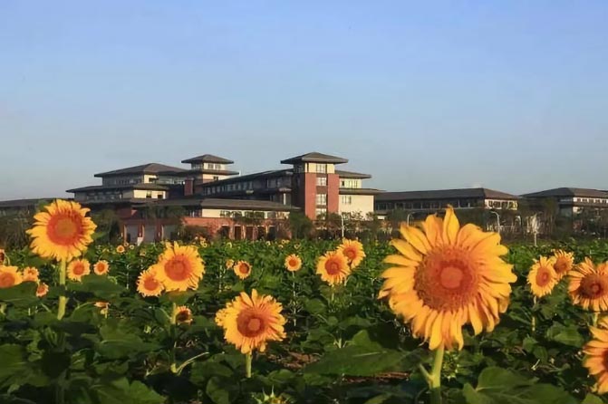 国庆我在长春等你：在浪漫的莲花山花海大道等你